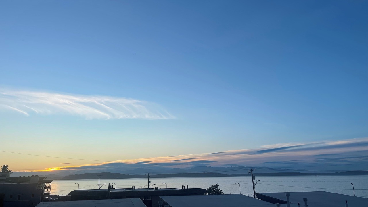 Photo of Others in North Admiral