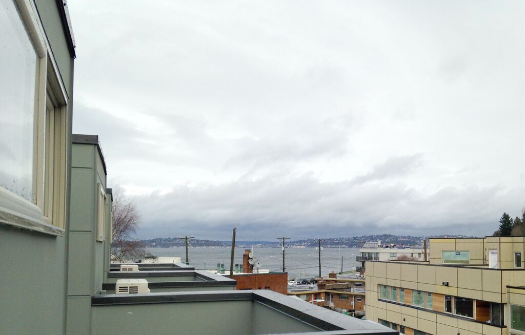 Photo of Others in North Admiral