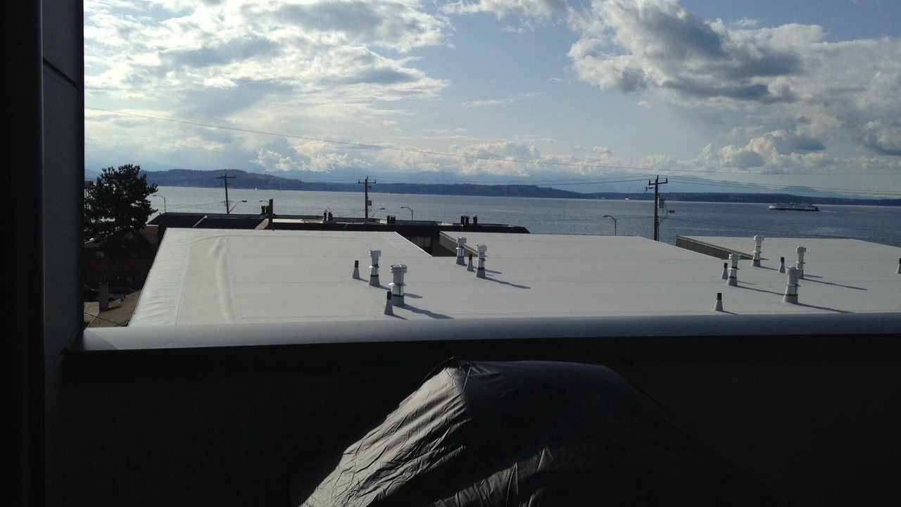 Photo of Others in North Admiral