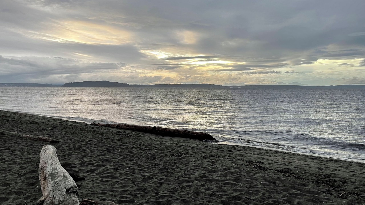 Photo of Others in North Admiral