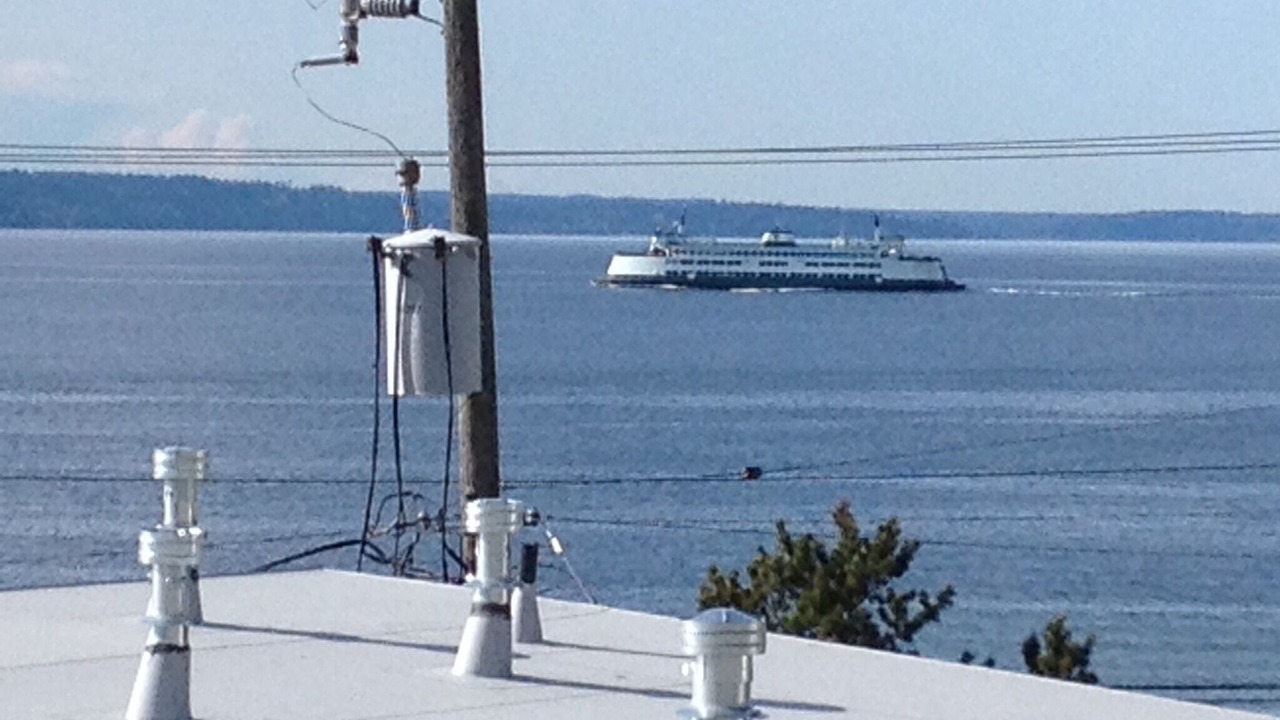 Photo of Others in North Admiral