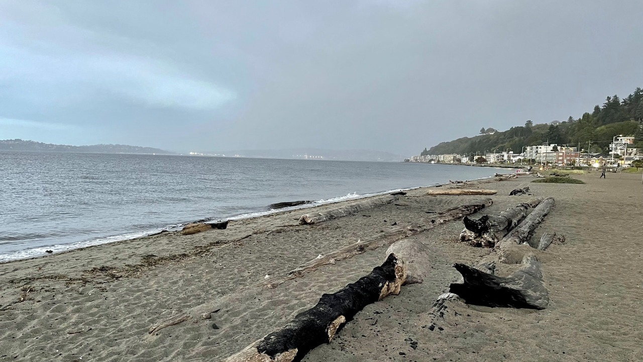 Photo of Others in North Admiral