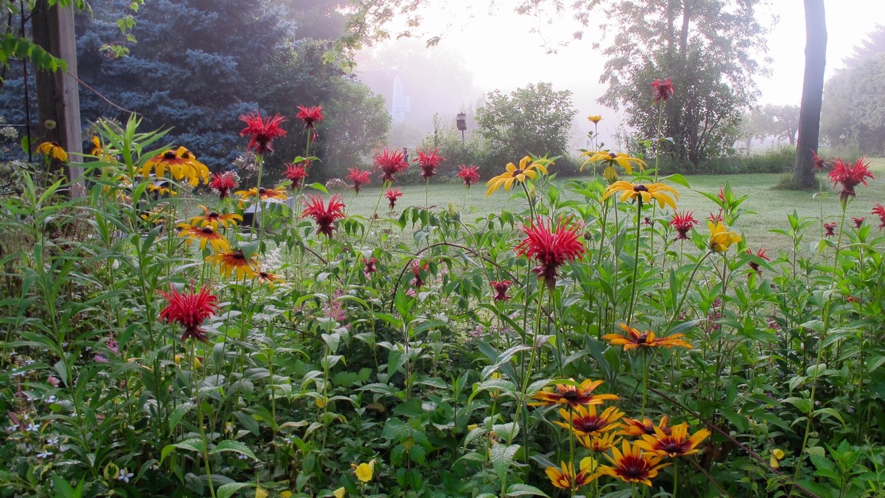 Photo of Outdoor in Niagara-on-the-Lake