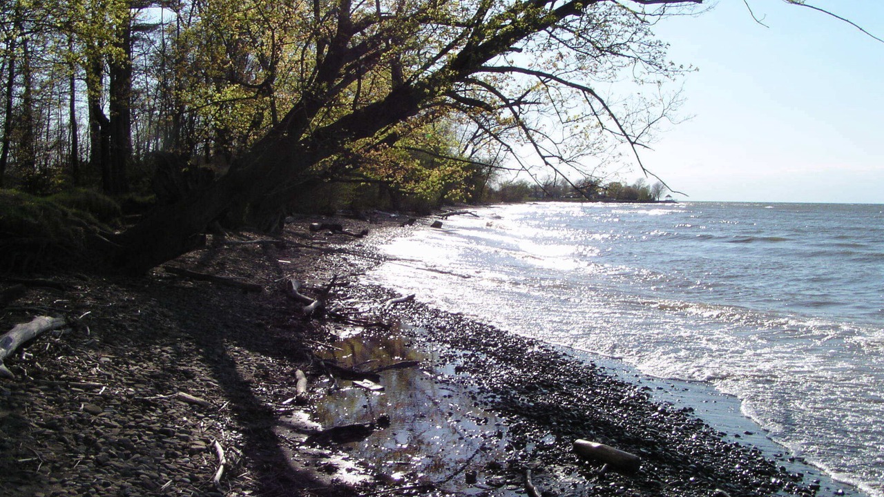 Photo of Others in Niagara-on-the-Lake