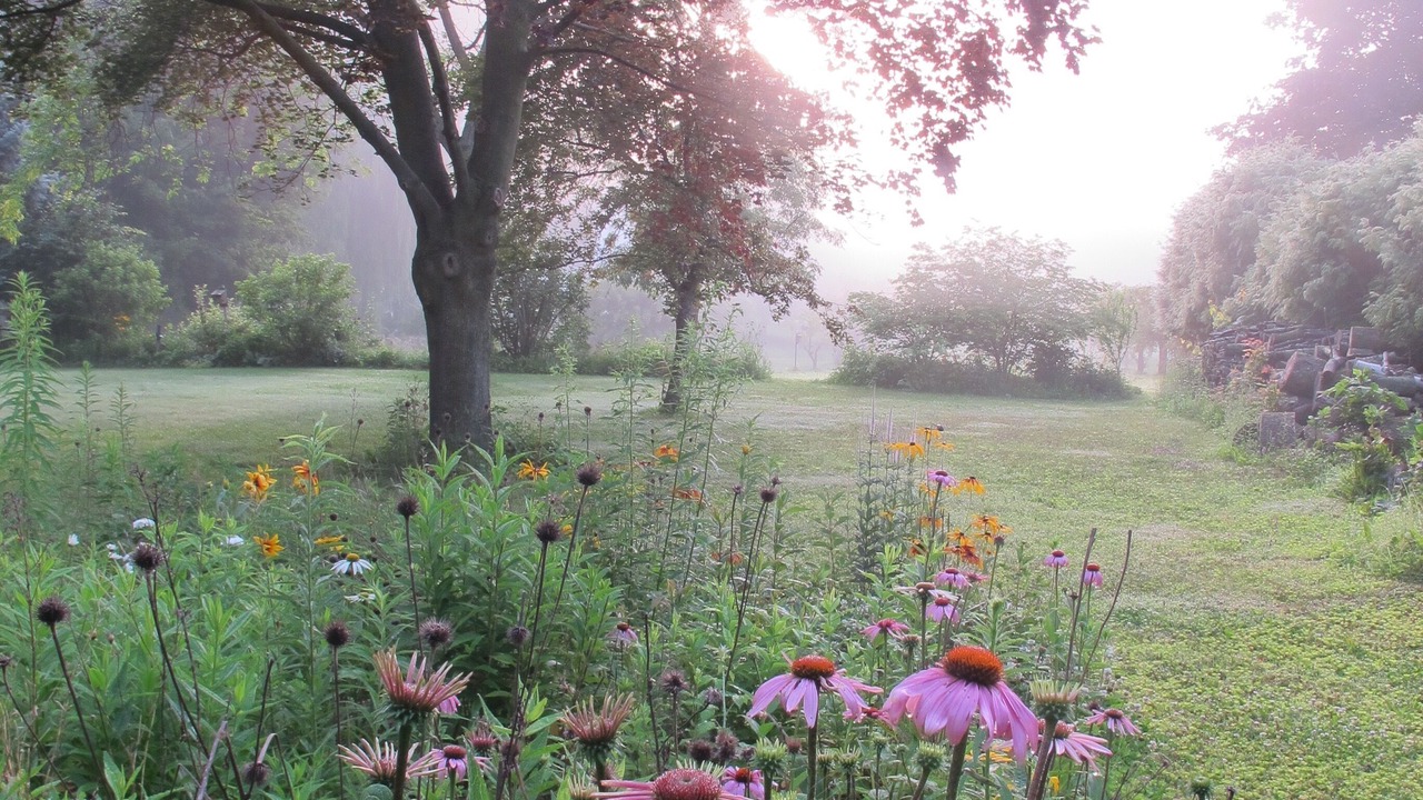 Photo of Others in Niagara-on-the-Lake