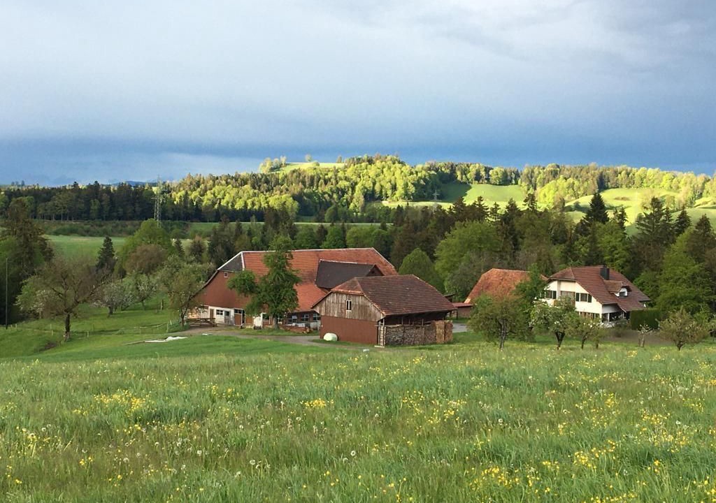 Photo of Others in Ufhusen