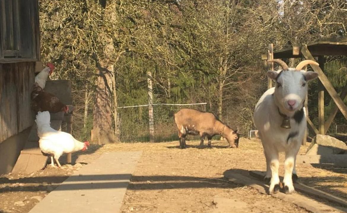 Photo of Others in Ufhusen