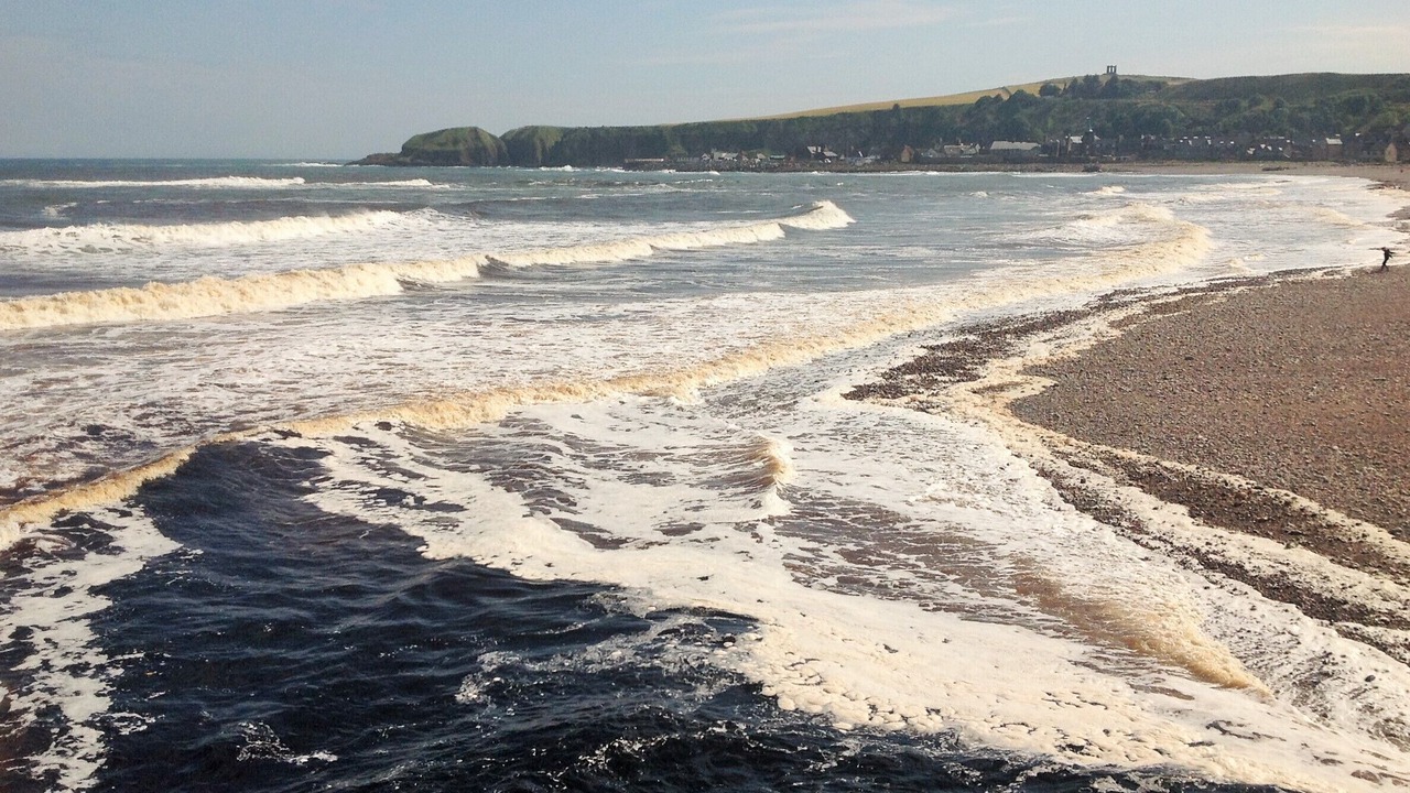 Photo of Others in Stonehaven