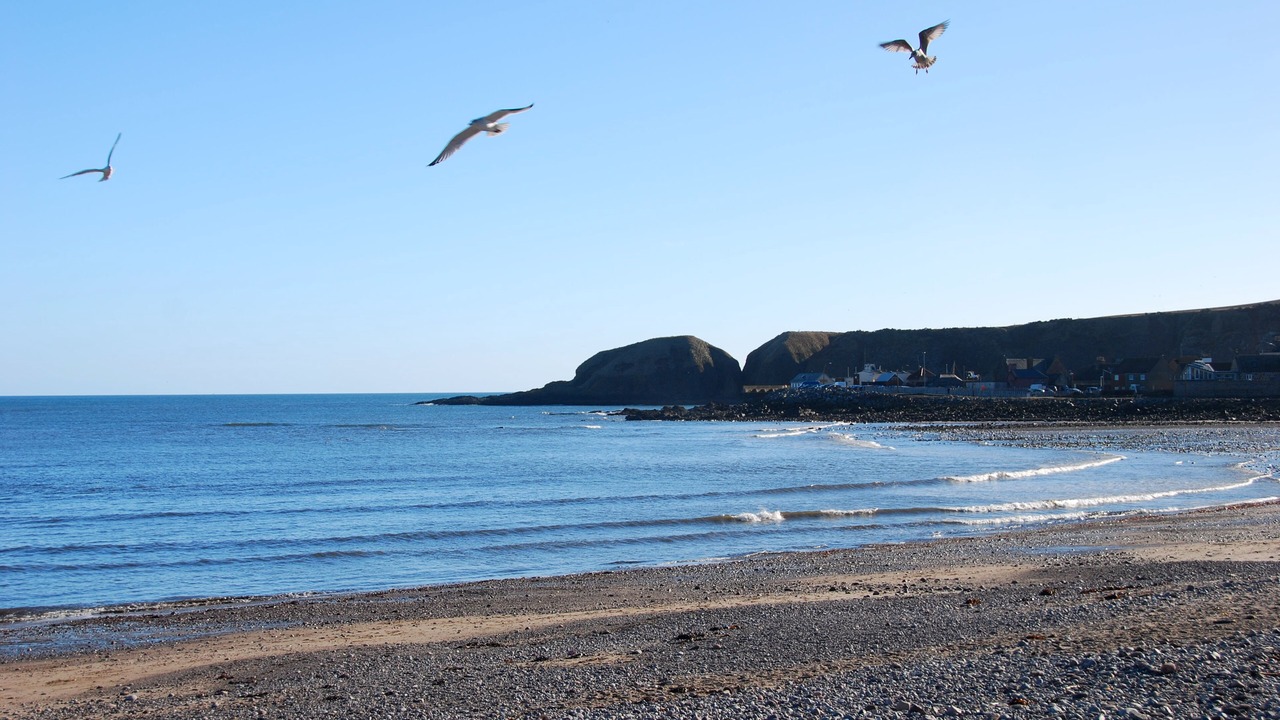 Photo of Others in Stonehaven