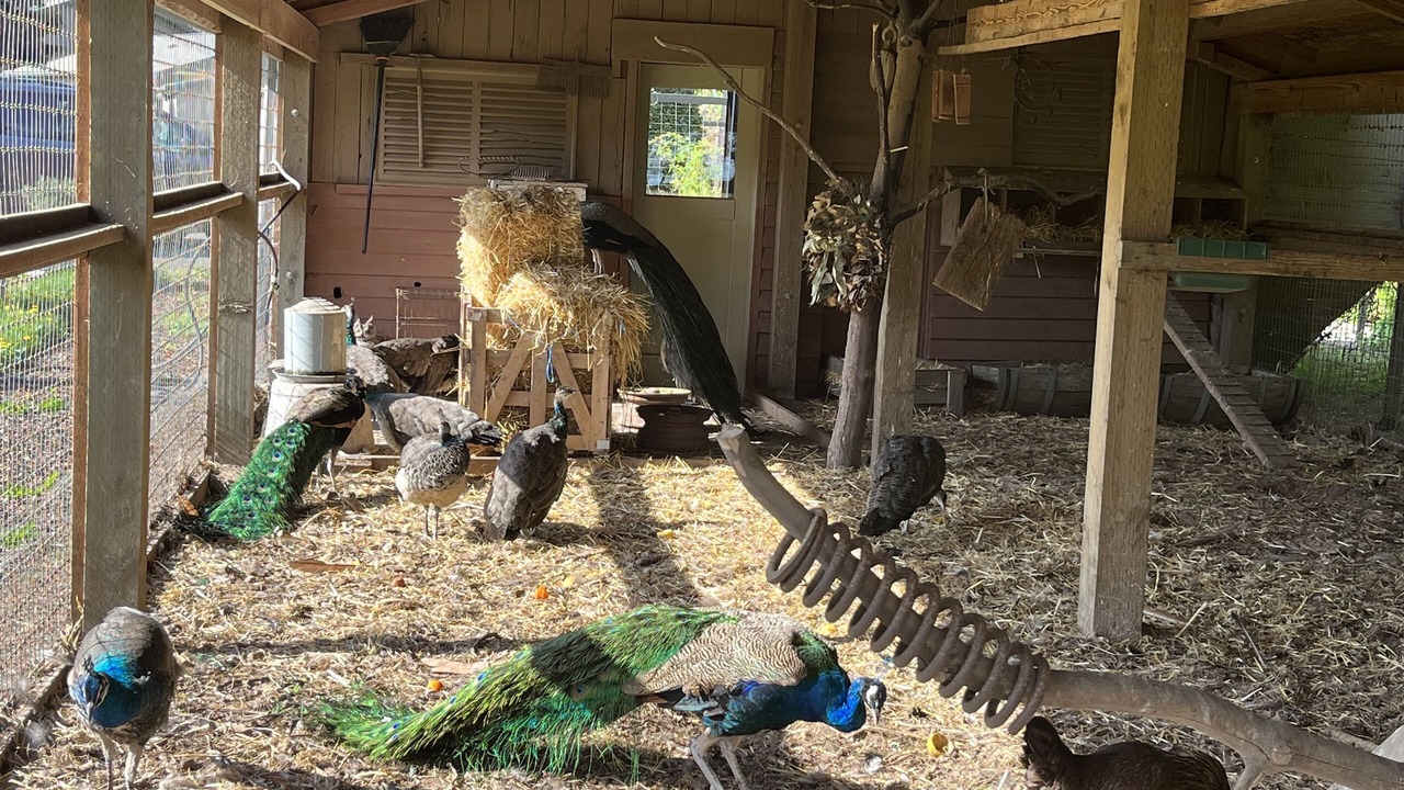 Photo of Others in Port Angeles