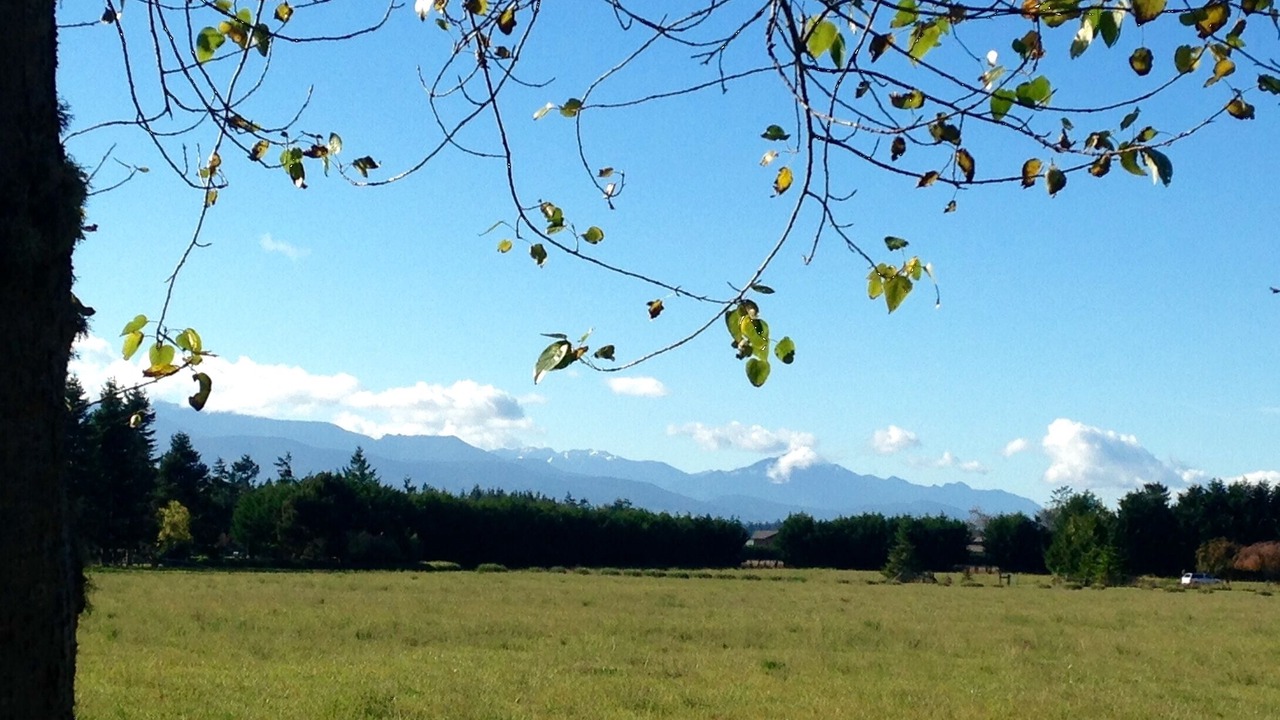 Photo of Others in Port Angeles