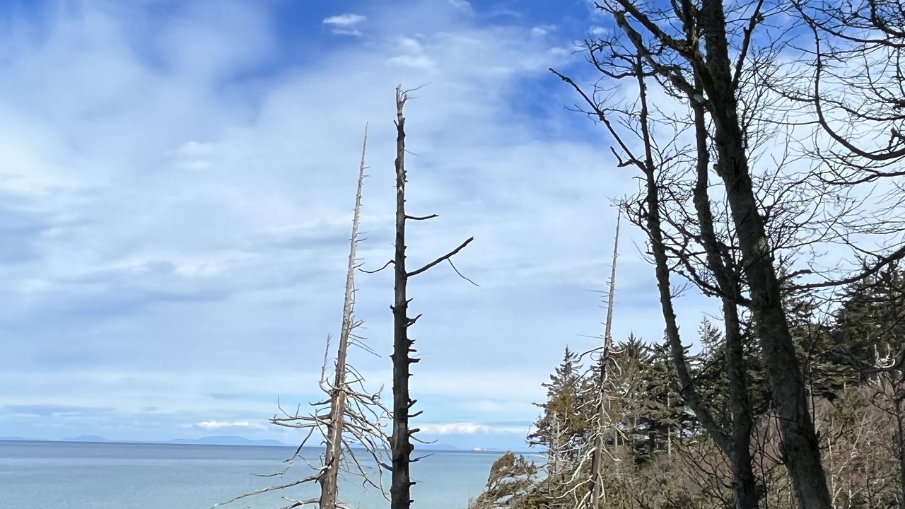 Photo of Others in Port Angeles