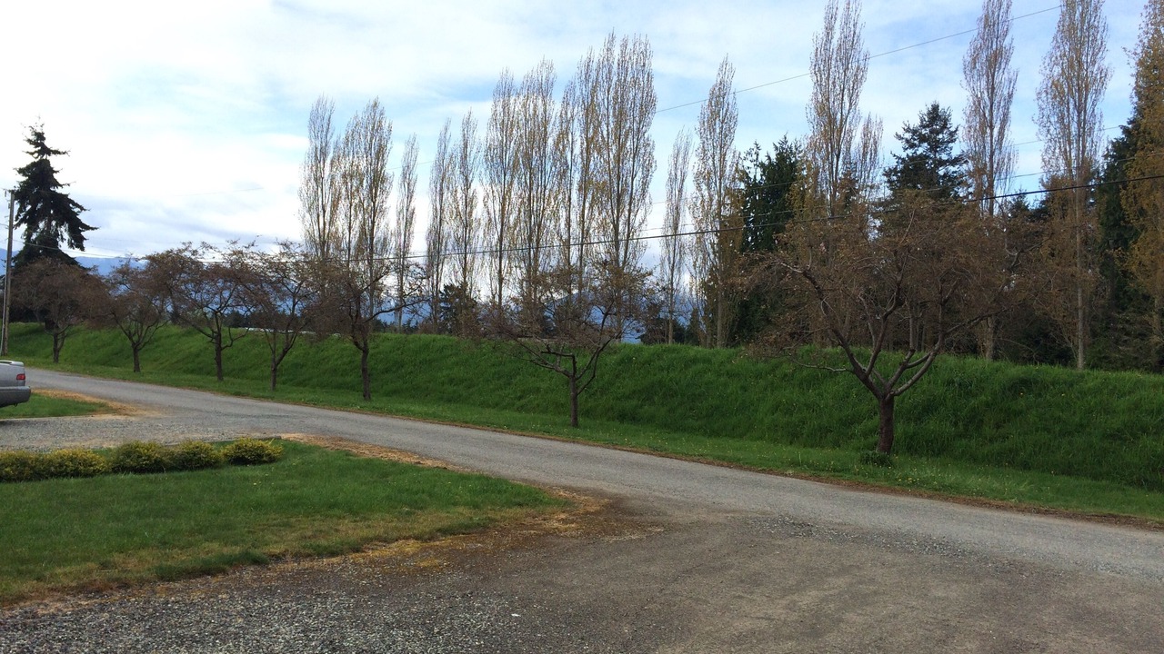 Photo of Others in Port Angeles