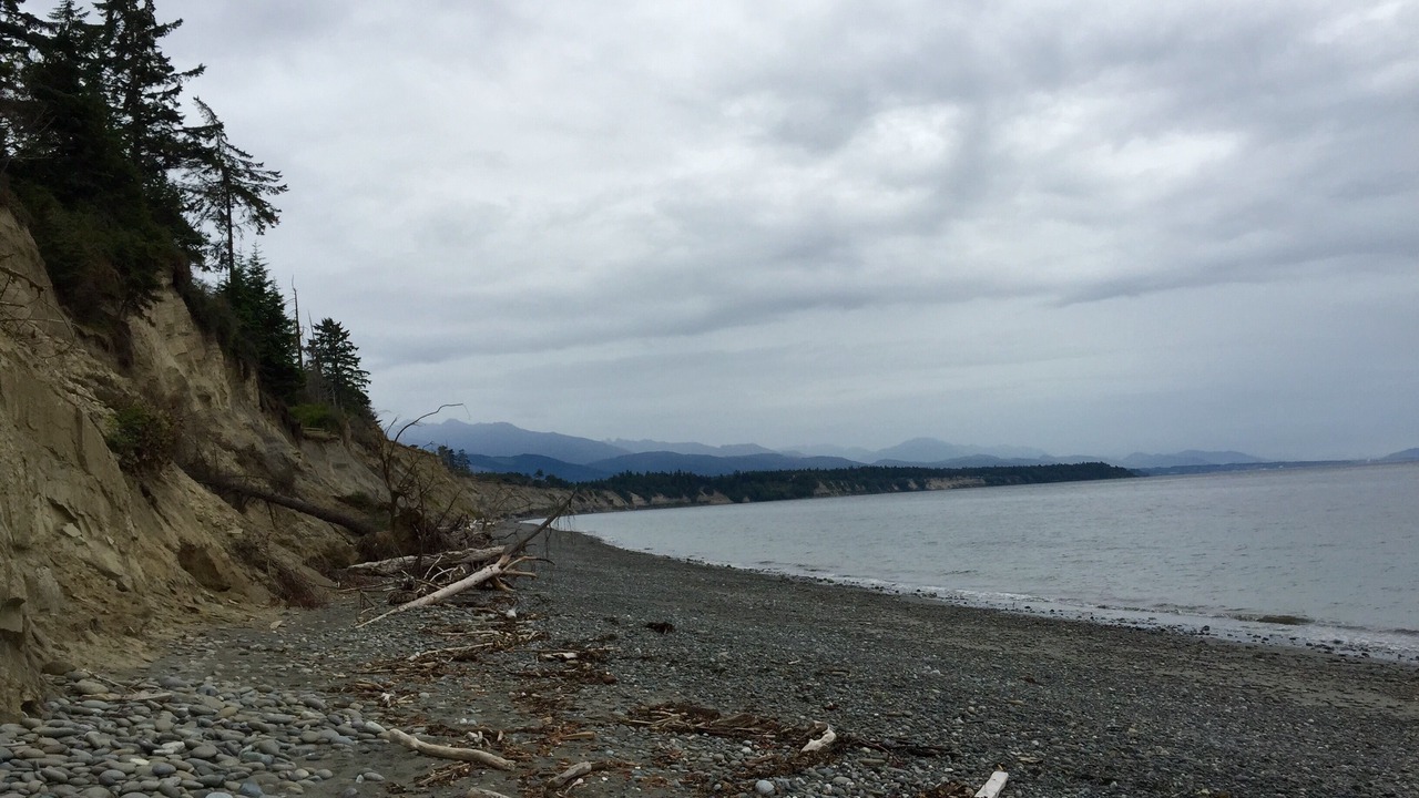 Photo of Others in Port Angeles