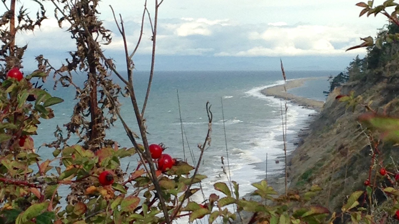 Photo of Others in Port Angeles