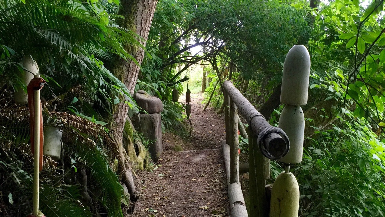 Photo of Others in Port Angeles