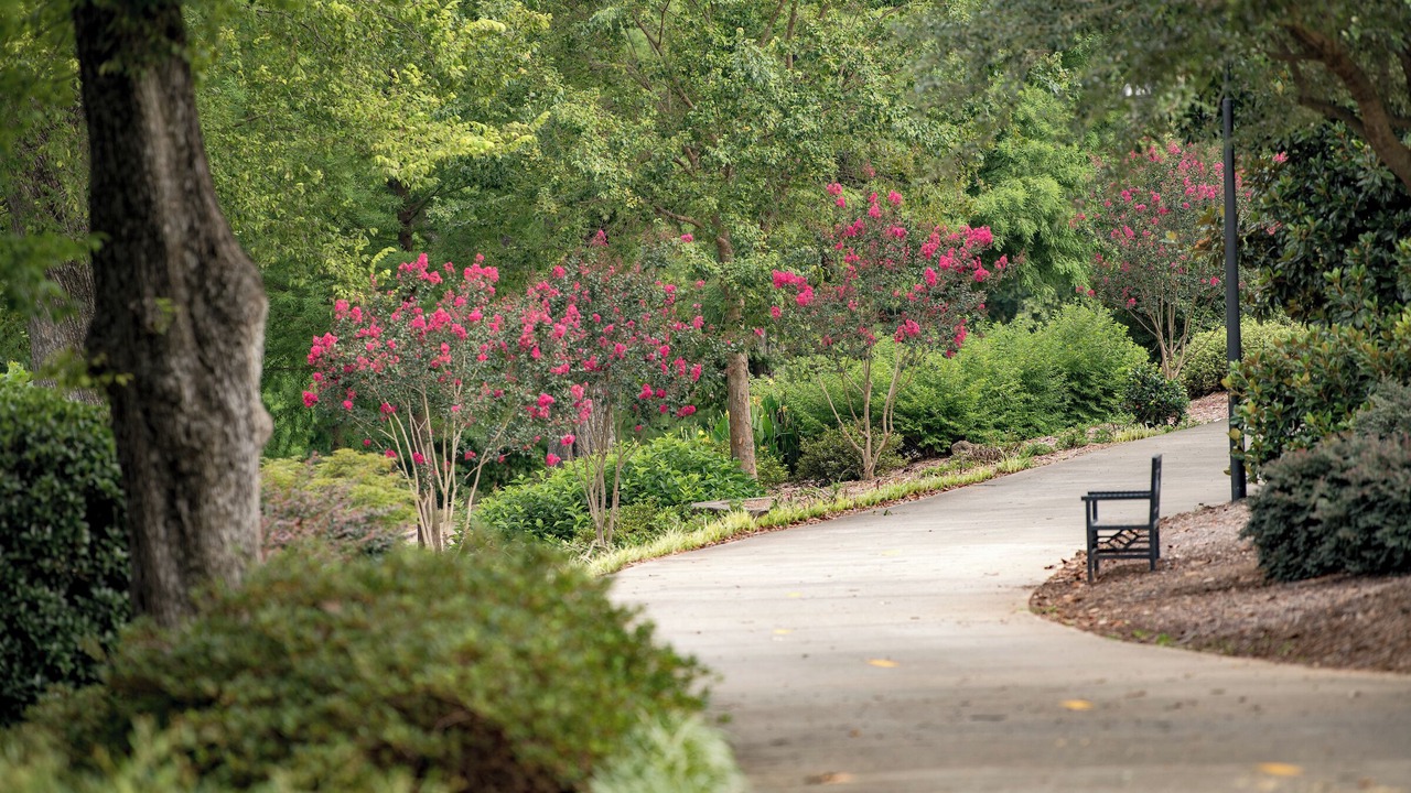 Photo of Outdoor in North Augusta
