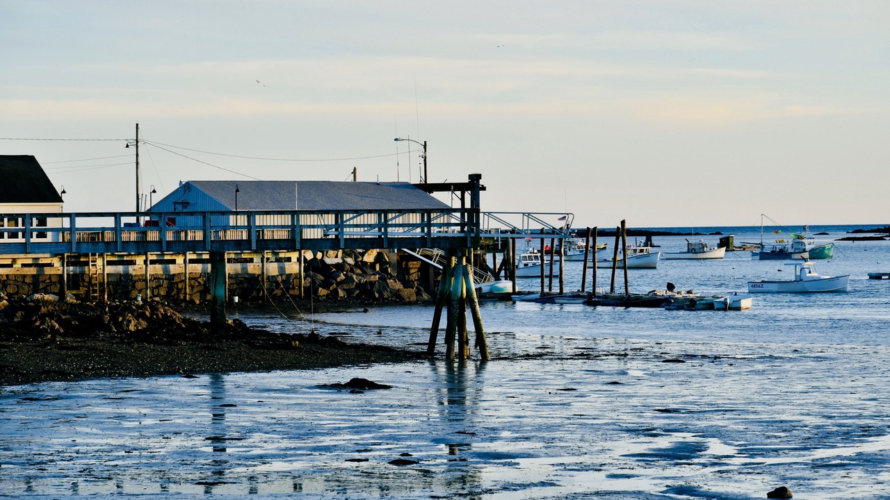 Photo of Others in Cape Porpoise