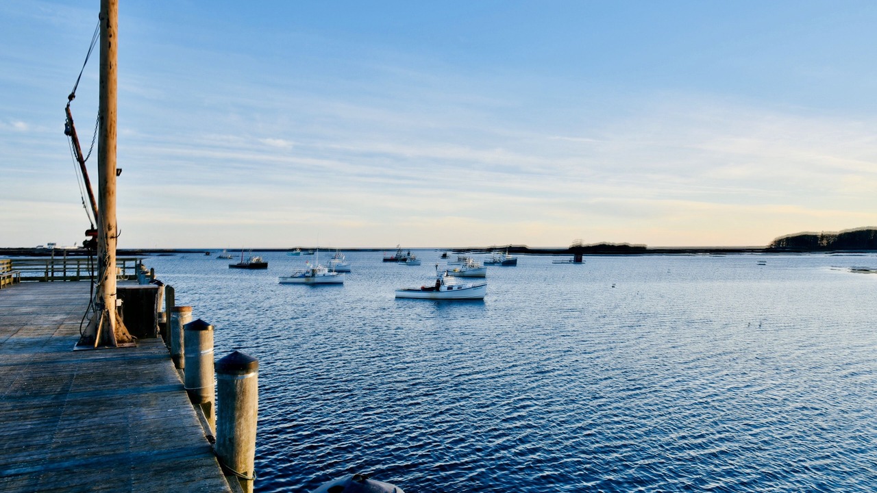 Photo of Others in Cape Porpoise