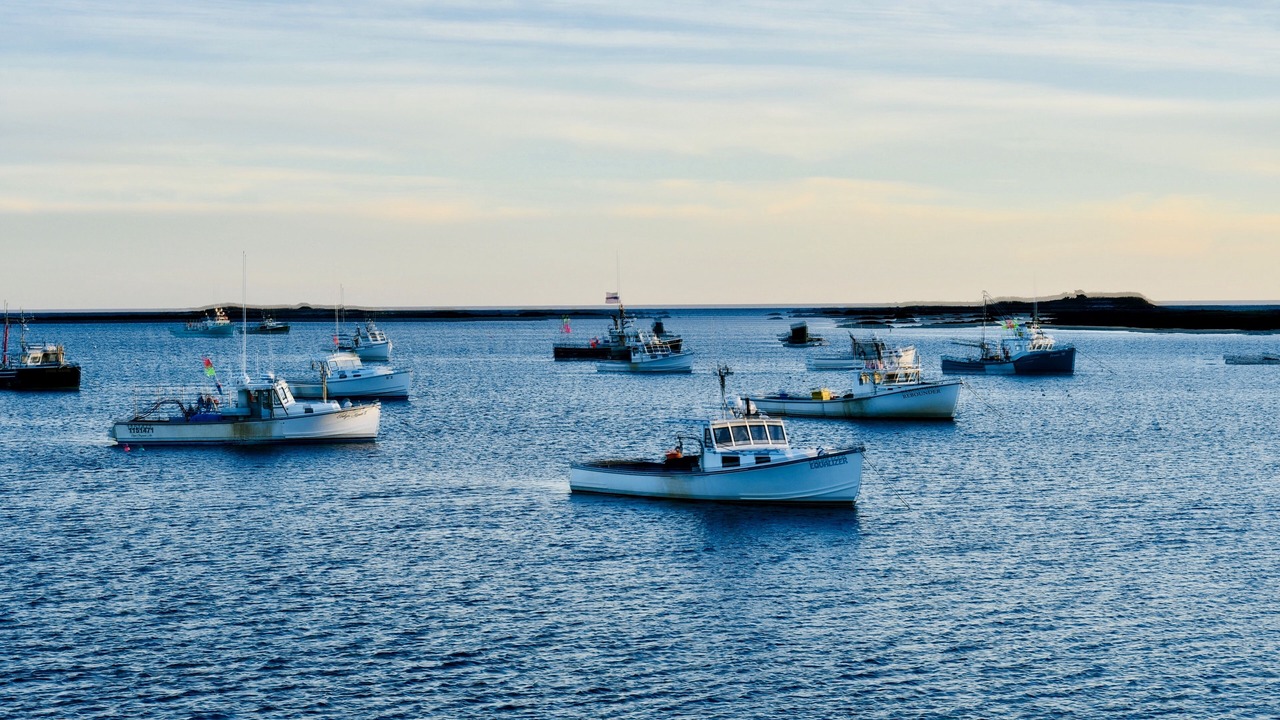 Photo of Outdoor in Cape Porpoise