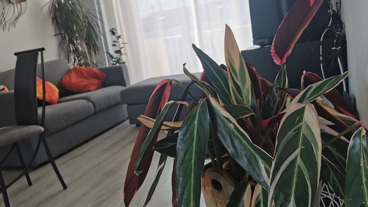 Photo of Livingroom in Ganges