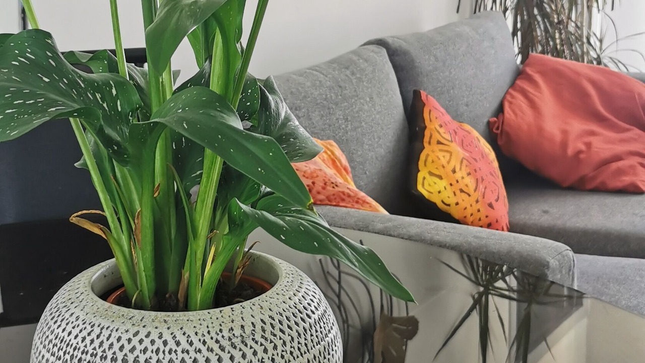 Photo of Others in Ganges