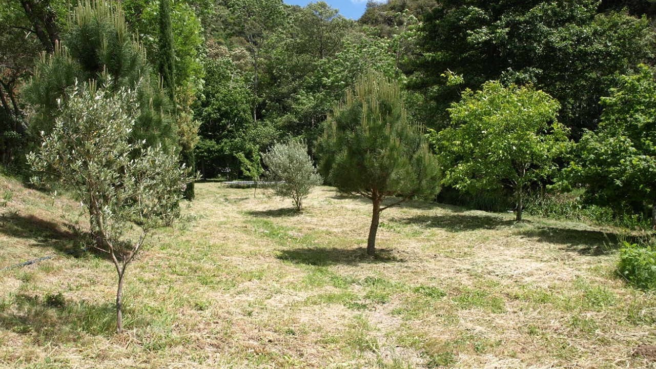 Photo of Outdoor in Rieussec