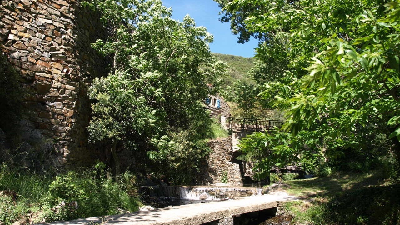 Photo of Outdoor in Rieussec