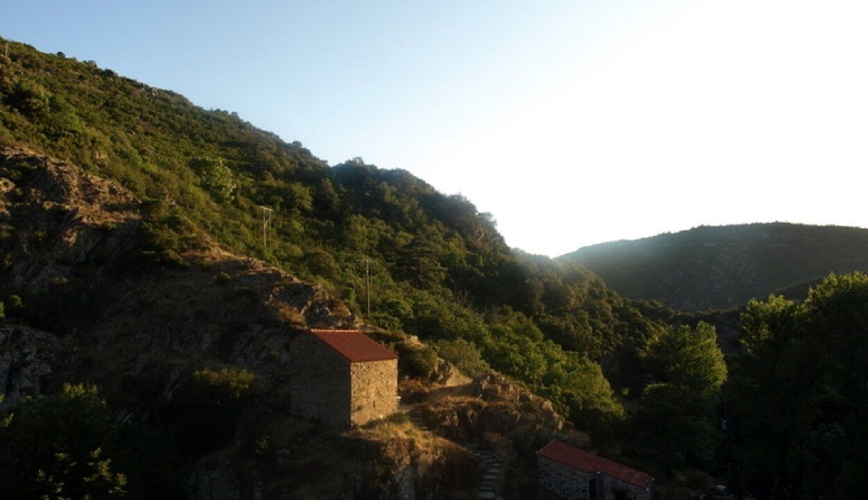 Photo of Outdoor in Rieussec