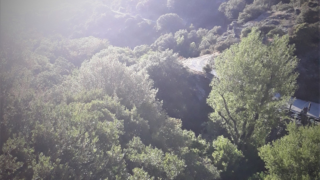 Photo of Outdoor in Rieussec