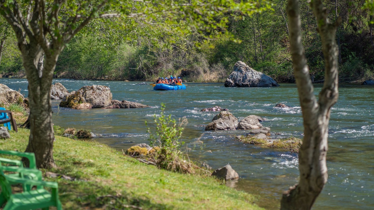 Photo of Others in Big Bar