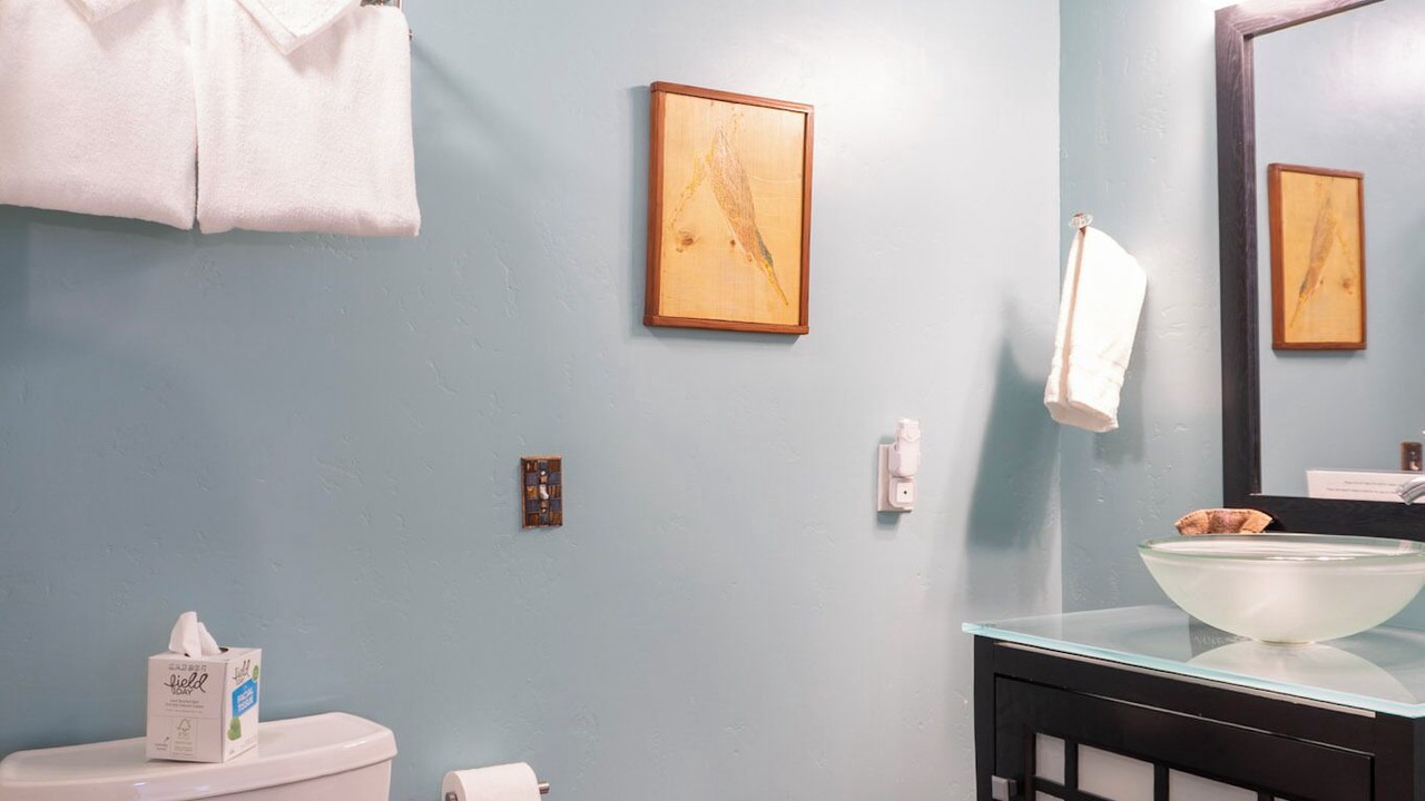 Photo of Bathroom in Big Bar