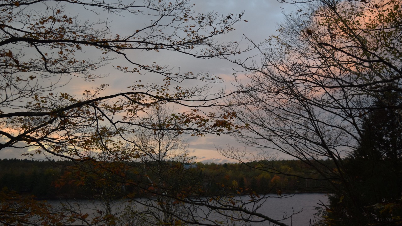 Photo of Outdoor in Arden