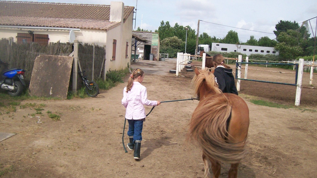 Photo of Others in Olonne-sur-Mer
