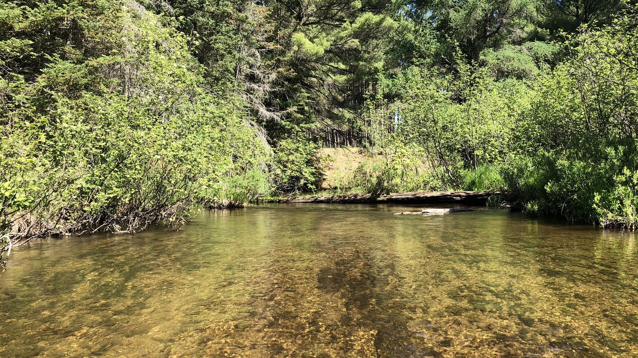Photo of Outdoor in Kingsley