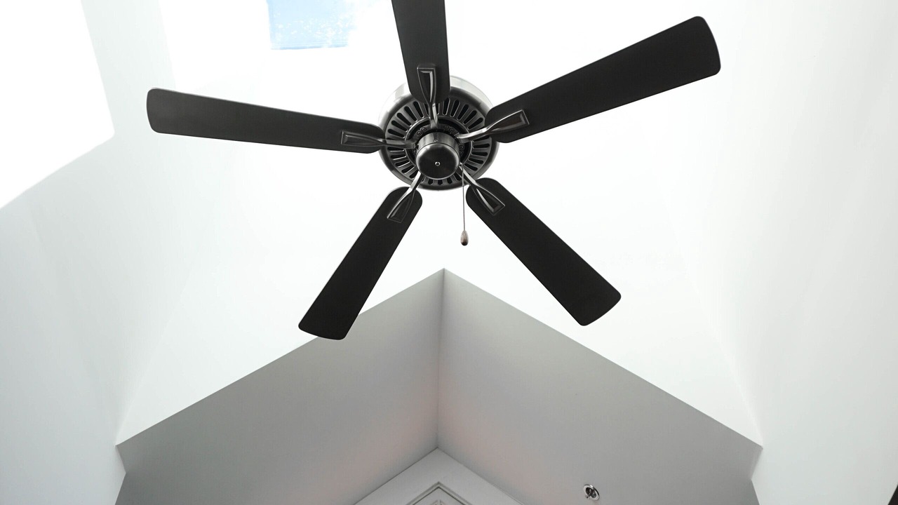 Photo of Others in Federal Hill