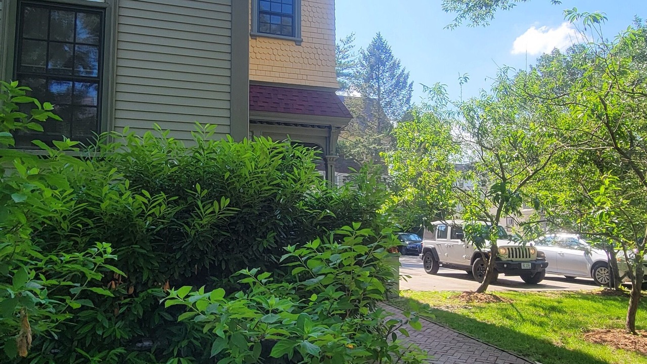 Photo of Outdoor in Federal Hill