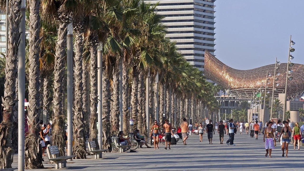 Photo of Others in El Parc i la Llacuna del Poblenou