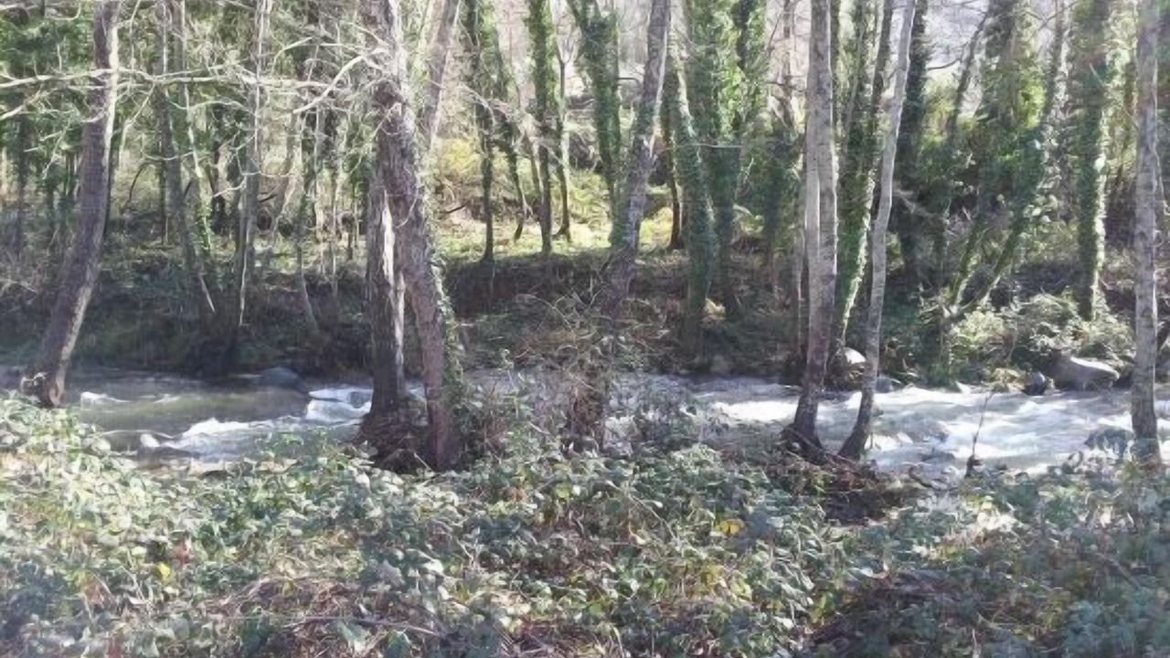 Photo of Outdoor in Mombeltran