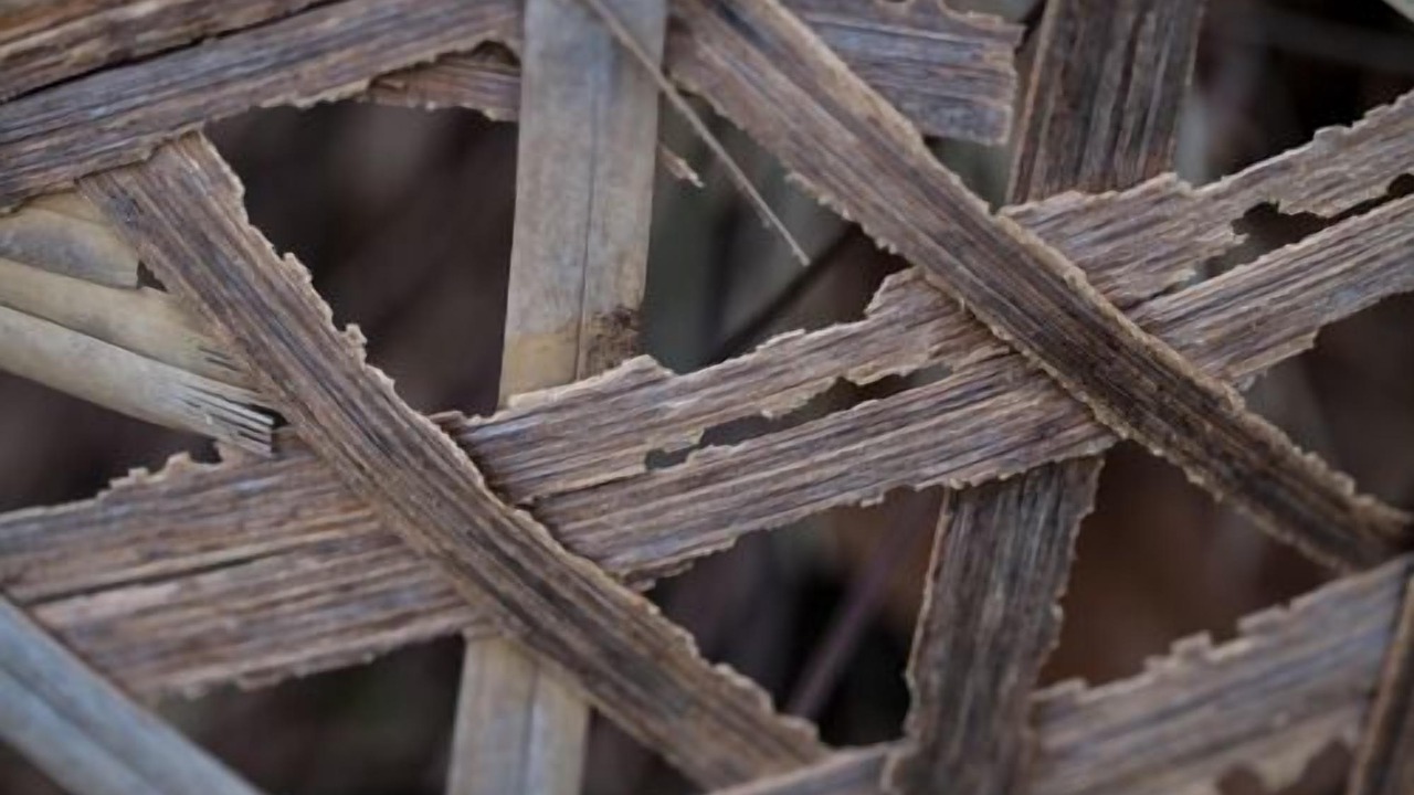 Photo of Others in Langkawi