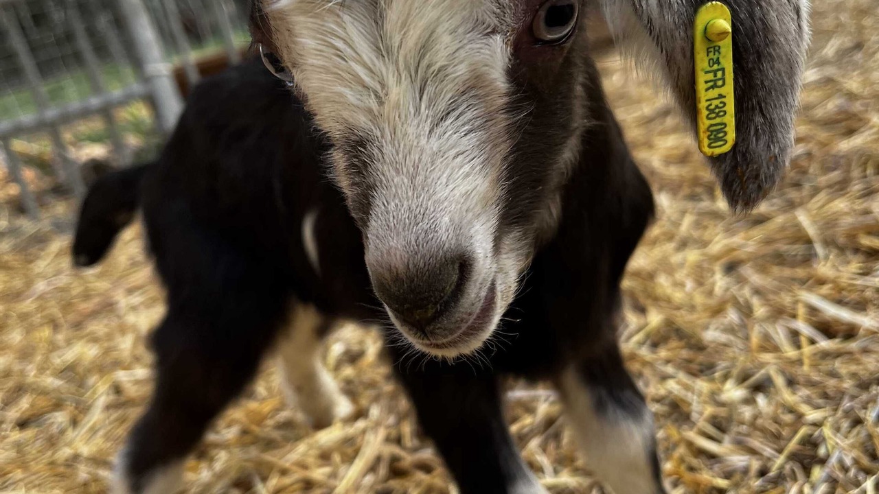 Photo of Outdoor in Gras