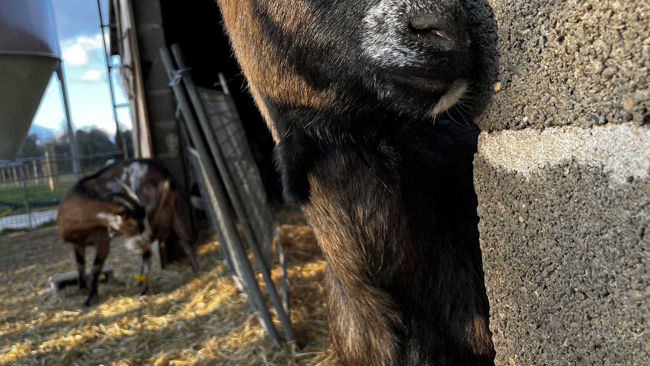 Photo of Outdoor in Gras