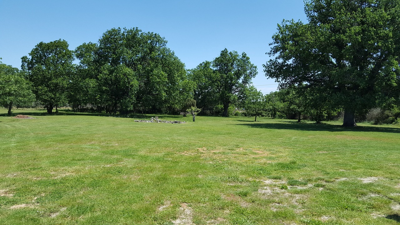 Photo of Others in Gras