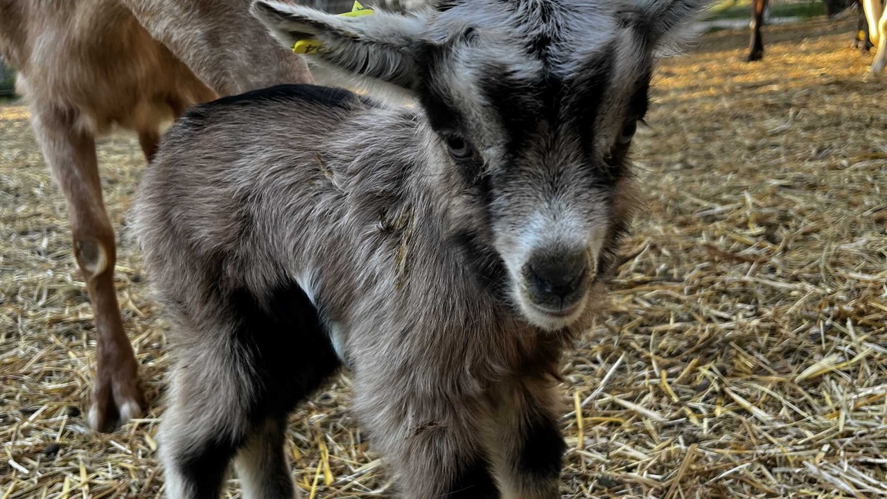 Photo of Outdoor in Gras