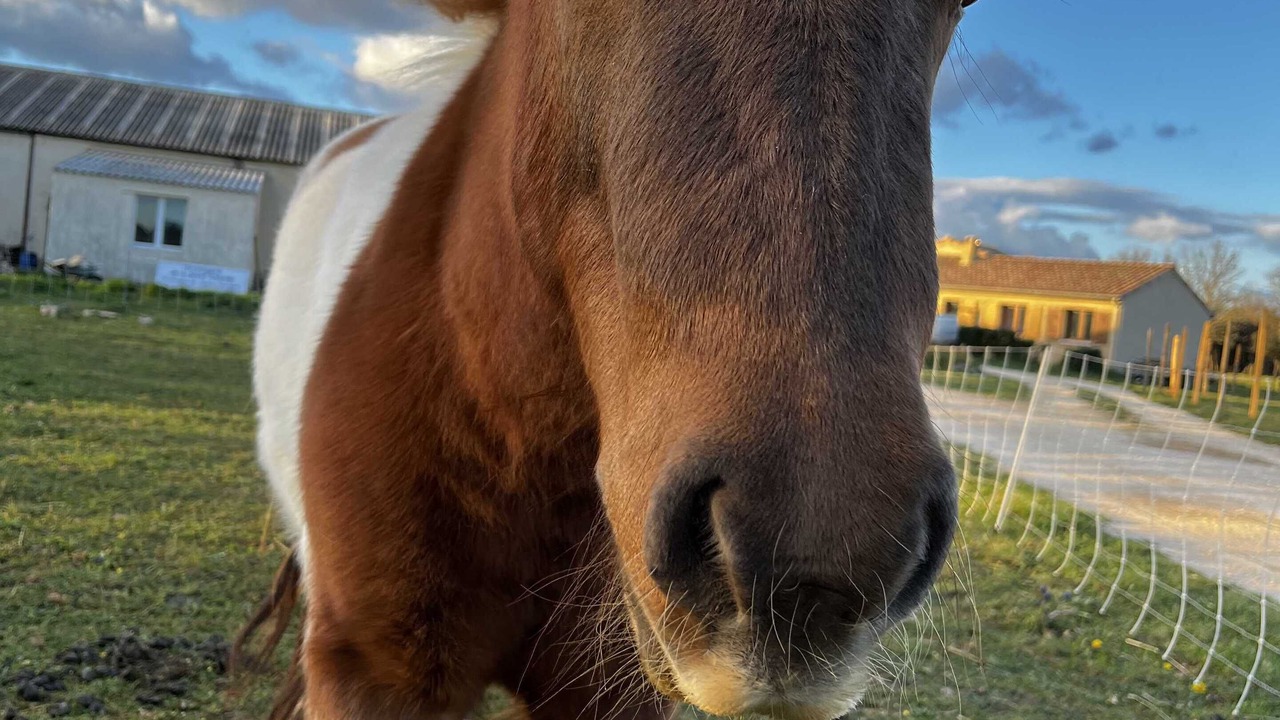 Photo of Outdoor in Gras