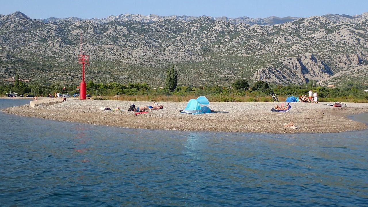Photo of Others in Seline