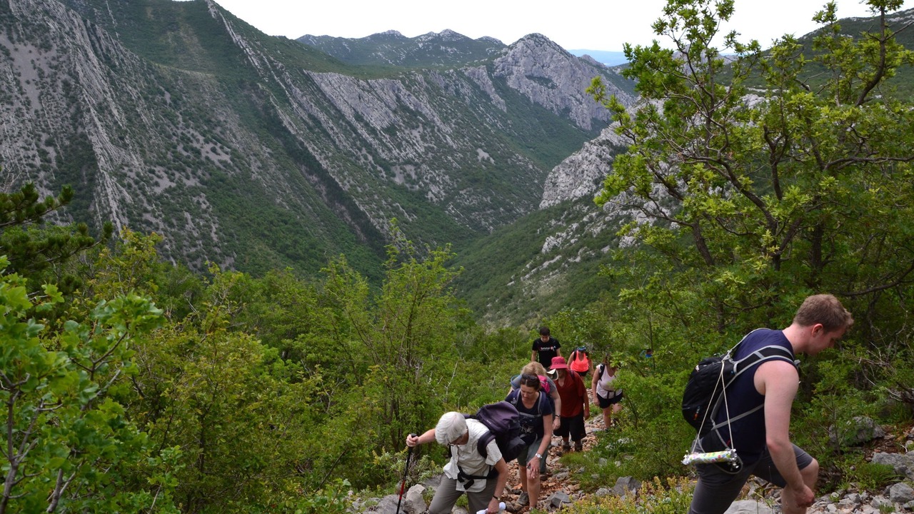 Photo of Outdoor in Seline