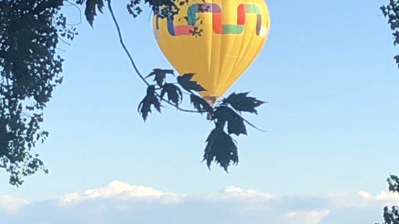 Photo of Outdoor in Livonia