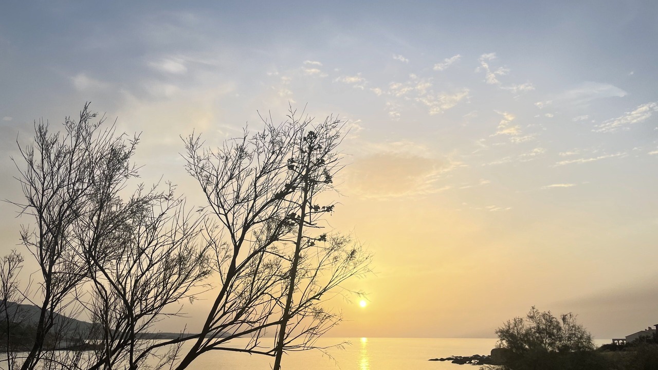 Photo of Others in Marine de Davia