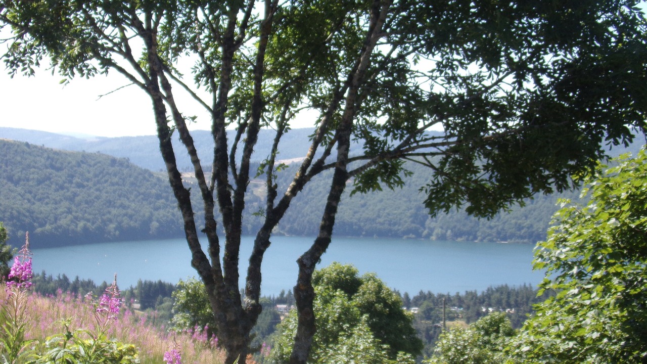 Photo of Others in Le Lac-d'Issarles